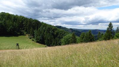 Rundwanderweg Jochberg