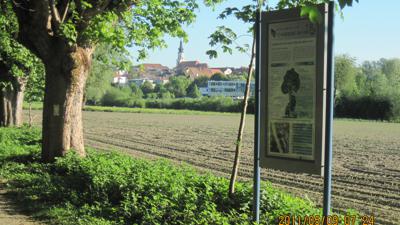 Rundwanderweg Schärdinger Innauen