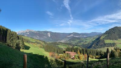 Rundweg Hochlindalm (Reith i.A.) 317