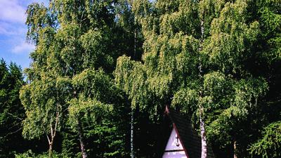 Rundweg Höhenweg