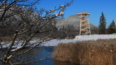 Rundweg Vogelturm – Lechaschau