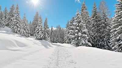 Russbach: Franzlalm