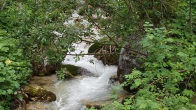 Russbach: Rinnbergalm-Turnaualm-Tabor