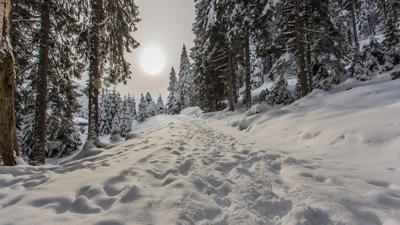 Russbach: Sonnenhof – Fallenegg