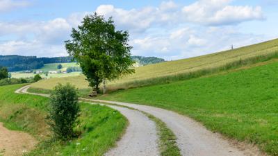 S23 Steinbloß Runde