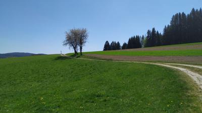 S4 Bankerlsteig