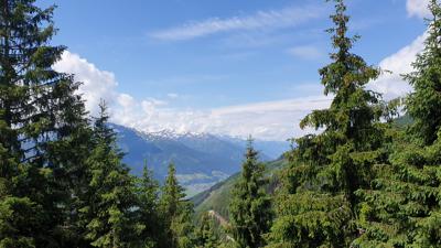 8H Uttendorfer Hochsonnbergalm