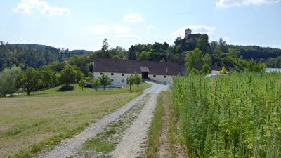 A8 Spattendorf über Riedegg