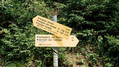 Abtenau: Schober – Gsengalm Rundtour