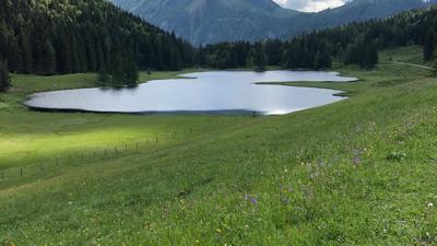 Abtenau: Seewaldsee-Rundwanderweg (15 Punkte)