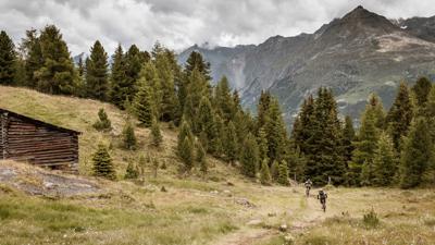 Long Trail Fernar