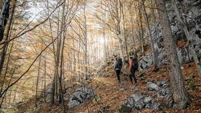 Luchs Trail Etappe 03