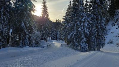 Lungötz: Winterwandern im Neubachtal