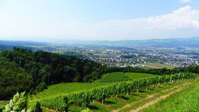 Lymphpfad 1B – Fitnesstraining (mittellanges Ausdauertraining)