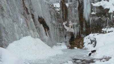 Nixenfall