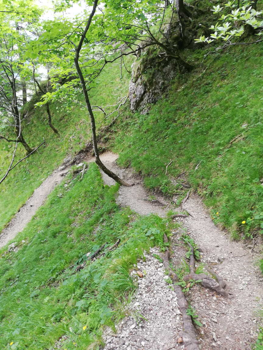 Nockstein von Guggenthal