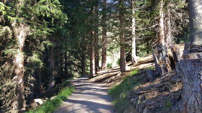 Obladis über Waalsteig