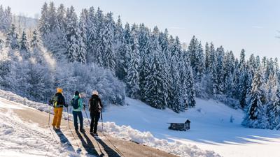 Glasklare Bäche – Winterrunde entlang des Treffauerbaches