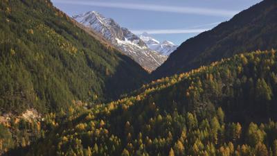 Goldeggalm (Sommer 2024 geschlossen)