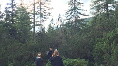 Gottschallalm-Runde | Wanderroute 07