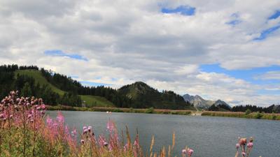 Grafenberg – Maurachalm – Sonntagskogel
