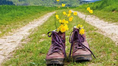 Granatzweg – Ein Weg entlang einer historischen Grenze