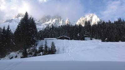 Graspoint-Niederalm Winterwanderweg