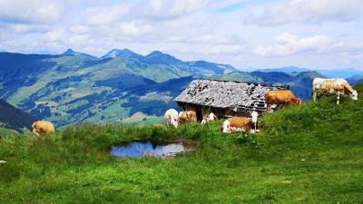 Panoramatour 3 Gipfel und 2 Seen