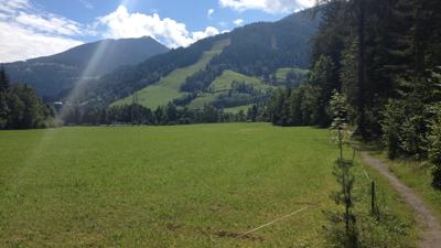 Panoramaweg 100 – Etappen südlich der Enns