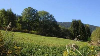Panoramaweg Axams (32)