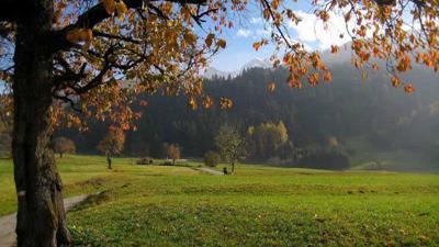 Panoramaweg Birgitz (32)