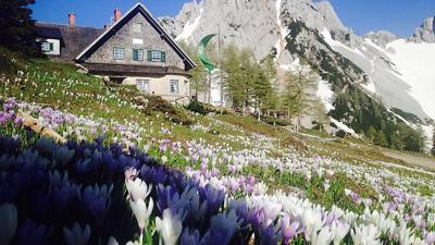 Panoramaweg Südalpen: Etappe 05 von der Koča na Golici zur Klagenfurter Hütte