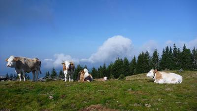 Panoramaweg Südalpen: Etappe 19 vom Klippitztörl zur St. Martiner Hütte
