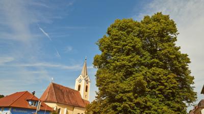 Persenbeug 1 – Marktrunde