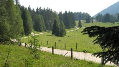 Hutterer Böden-Runde (RundWanderWelt Hinterstoder)