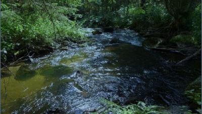 Waldluftbadeweg Reisingerberg