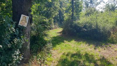 Waldwanderweg Weißweg