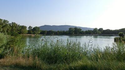 Wanderquartett: Dirnelwiesenweg