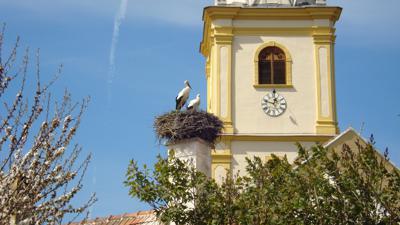 Wanderung Krumbach: Schloss – Kraxenberg