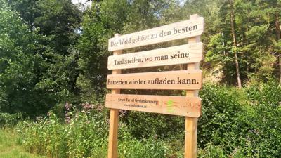 Wanderung Krumbach: Zöberau – Zöberntalradweg