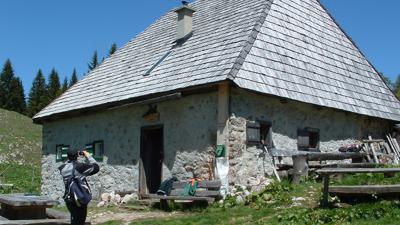 Wanderung auf die Herrenalm von Langau