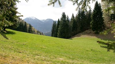 Wanderung auf die Schafbergalm