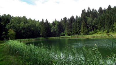 Wanderung um den Kreckelmooser See