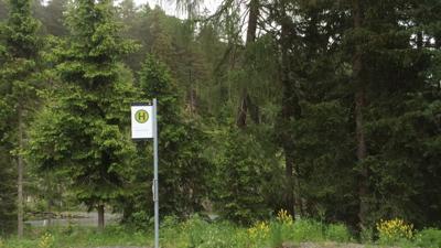 Wanderung vom Piller Moor zur Gogles Alm