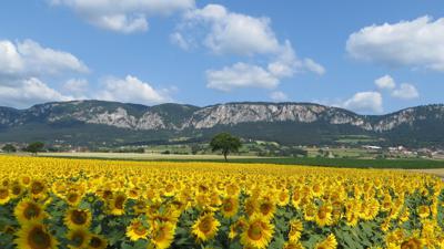 Wanderung zum Gasthof Luf (von Maiersdorf)