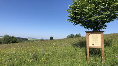 KULTURWEG