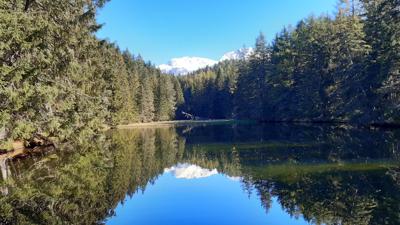 Wanderung zum Waldweiher