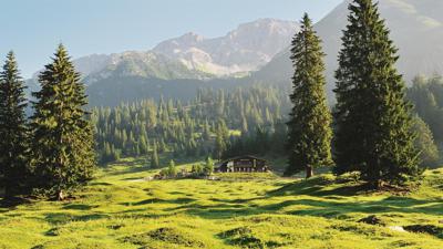 Wanderung zur Gaistalalm & Tillfussalm