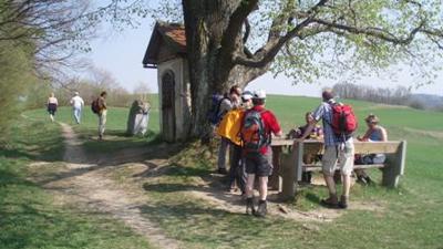 Wanderung zur Holzer Elsbeere