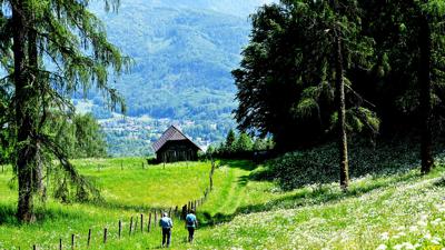 Wanderweg 411 – vom Traunsee ins Almtal-Durchgang-Hauergraben